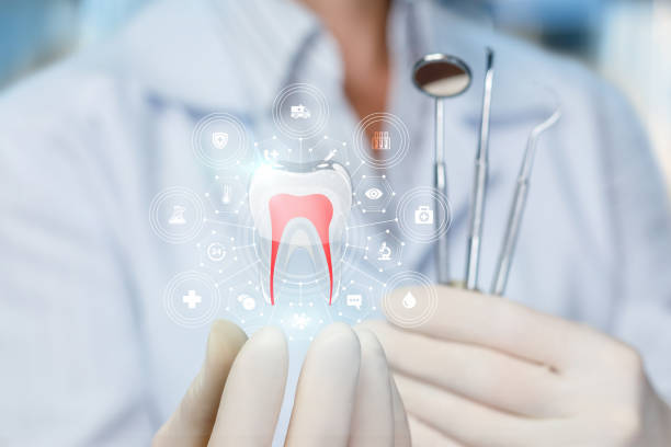Best Pediatric Dentistry  in Seattle, WA